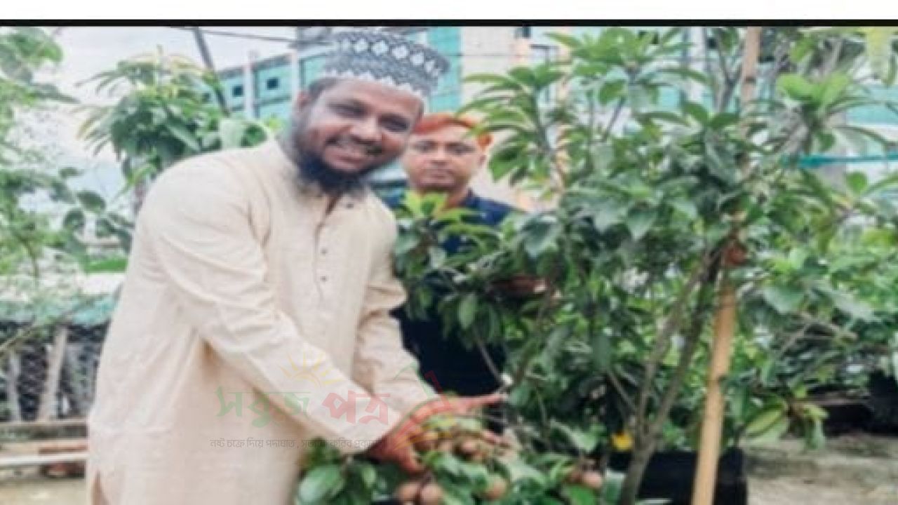 লাকসামে শান্তা হাসপিটালের ছাদে সবুজ স্বপ্ন