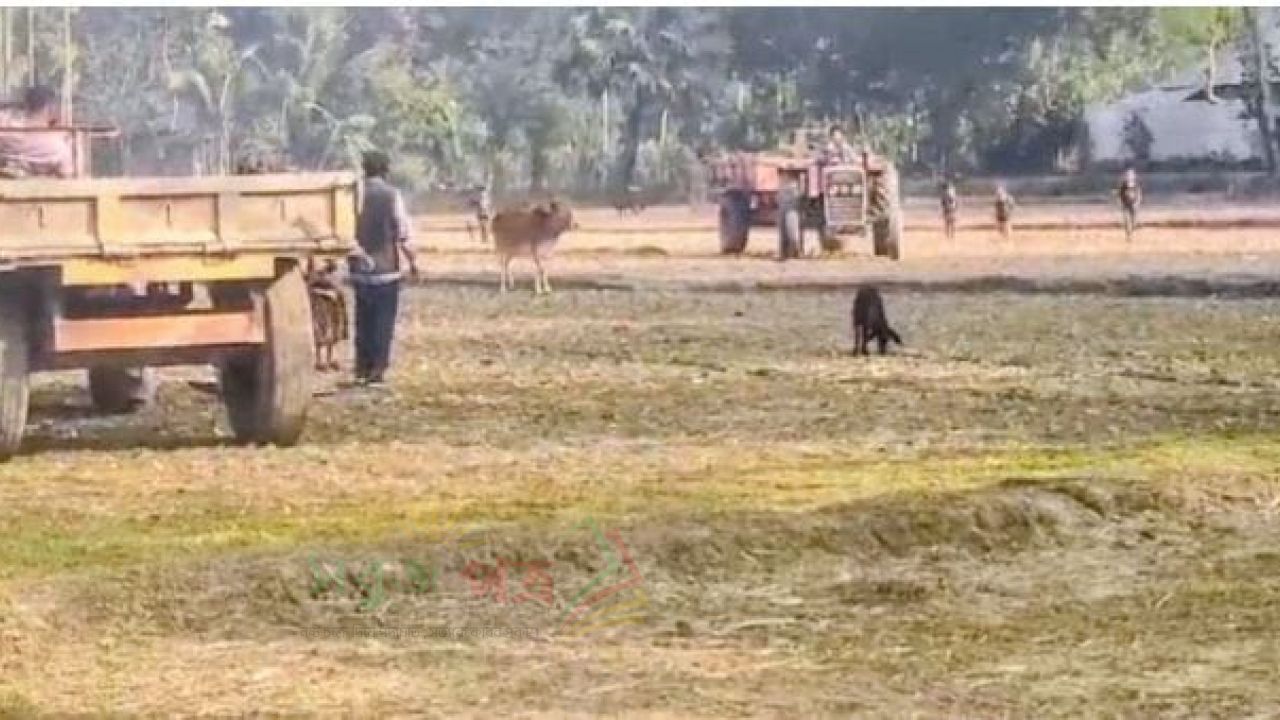 লাকসামে ফসলী জমির মাটি কাটার অভিযোগে ২ জনের কারাদণ্ড