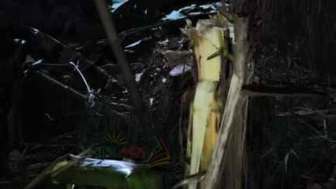 মনোহরগঞ্জে মারধর ও লুটপাটের অভিযোগ: বৃদ্ধা হাসপাতালে, থানায় লিখিত অভিযোগ