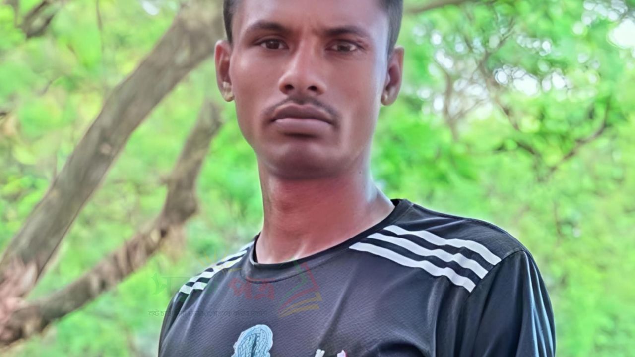 লালমাইয়ে গাছের ডাল পড়ে জজ মিয়া মৃত্যু