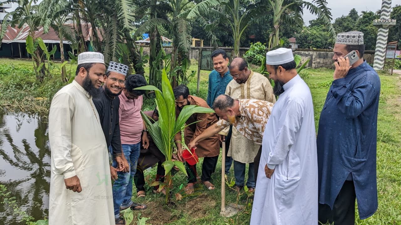 চৌদ্দগ্রামের চিওড়া আছগরিয়া ফাজিল মাদ্রাসায় দাখিল ২০০৩ ব্যাচের বৃক্ষ রোপন