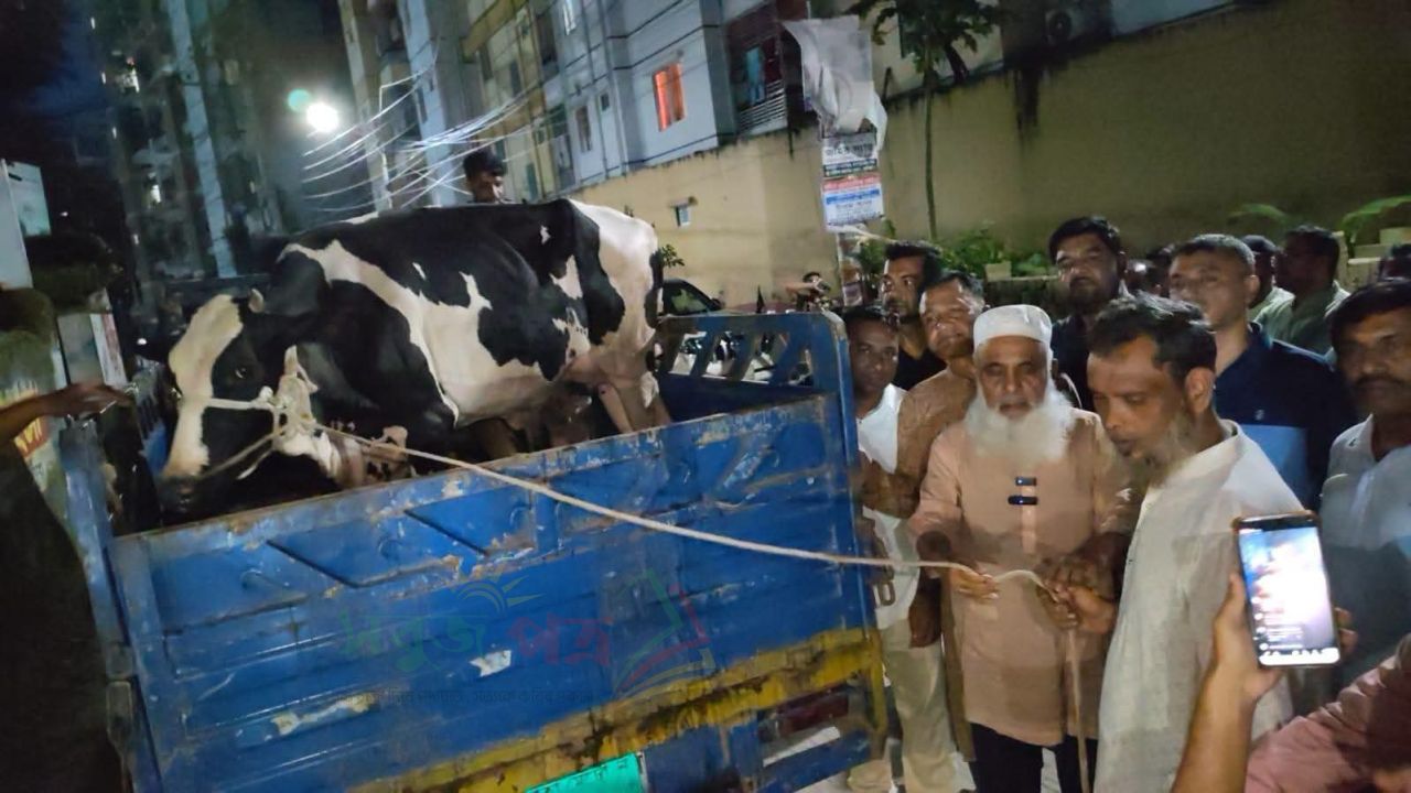 কুমিল্লায় দুই শহীদ পরিবারকে গাভী উপহার দিলেন মনিরুল হক চৌধুরী এমপি